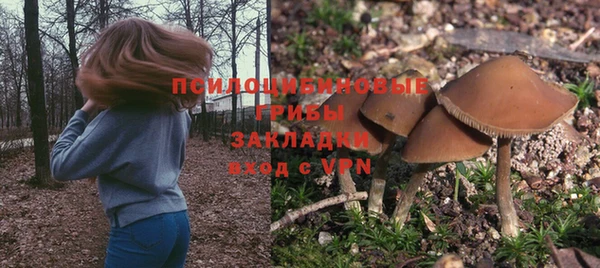 мескалин Балахна
