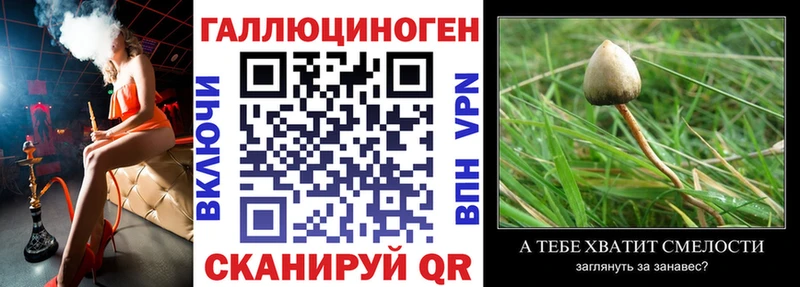 Псилоцибиновые грибы Psilocybine cubensis  мега маркетплейс  Пересвет 